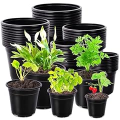 Pynqdfu pcs plant for sale  Delivered anywhere in USA 
