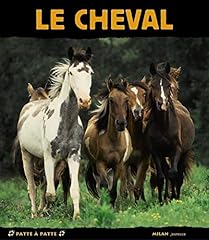 Cheval d'occasion  Livré partout en Belgiqu