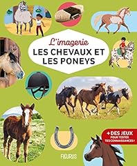 Chevaux poneys d'occasion  Livré partout en Belgiqu