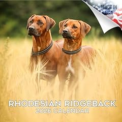 2025 2026 rhodesian for sale  Delivered anywhere in USA 