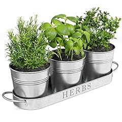 Barnyard designs herb for sale  Delivered anywhere in UK