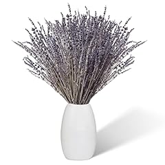 Lavendel getrocknet 100 gebraucht kaufen  Wird an jeden Ort in Deutschland