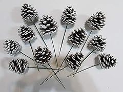 Dobar natural pinecones for sale  Delivered anywhere in USA 