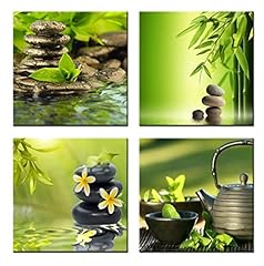 Bambou vert zen d'occasion  Livré partout en France