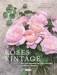 Roses vintage roses d'occasion  Livré partout en France