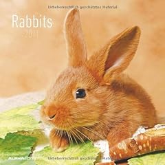 Kaninchen kalender 2011 gebraucht kaufen  Wird an jeden Ort in Deutschland