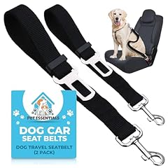 Sol 2pk dog for sale  Delivered anywhere in UK