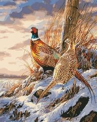 Qiaoyue field pheasant for sale  Delivered anywhere in UK