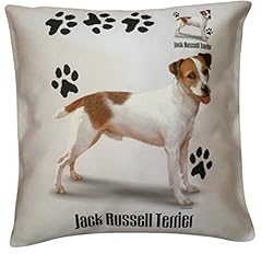Jack russell terrier for sale  Delivered anywhere in Ireland