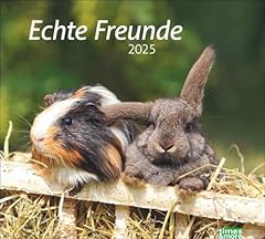 Echte freunde bildkalender gebraucht kaufen  Wird an jeden Ort in Deutschland