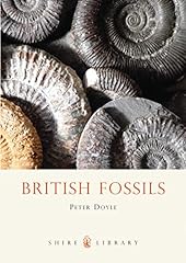 British fossils for sale  Delivered anywhere in UK