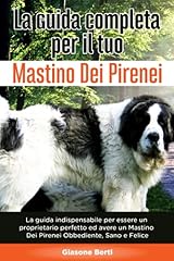 Guida completa per usato  Spedito ovunque in Italia 