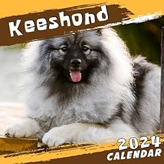Keeshond calendar 2024 for sale  Delivered anywhere in UK