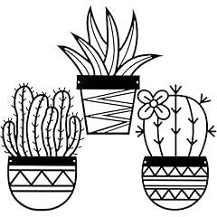 Hotop pieces cactus for sale  Delivered anywhere in USA 