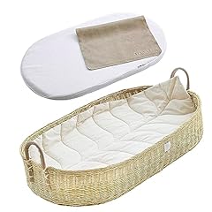 Bebe bask premium for sale  Delivered anywhere in USA 