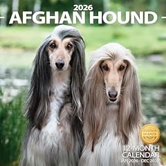 2026 wall calendar for sale  Delivered anywhere in USA 