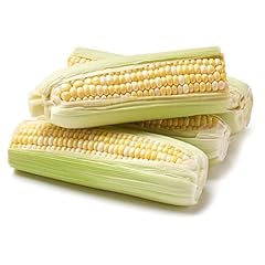 Color white corn for sale  Delivered anywhere in USA 