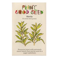 Stevia seeds pack for sale  Delivered anywhere in USA 