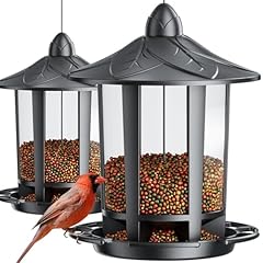 Birdream pack bird for sale  Delivered anywhere in USA 