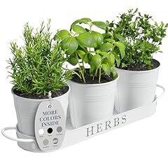 Barnyard designs herb for sale  Delivered anywhere in UK