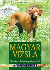 Magyar vizsla charakter d'occasion  Livré partout en Belgiqu