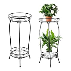 Loyal tiger plant for sale  Delivered anywhere in USA 