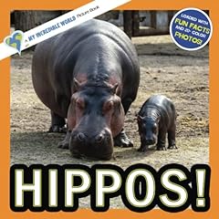 Hippos incredible picture for sale  Delivered anywhere in UK