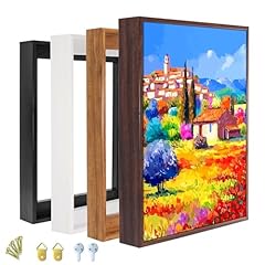 Canvas floater frame for sale  Delivered anywhere in USA 