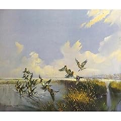 Pintails arriving vernon for sale  Delivered anywhere in UK