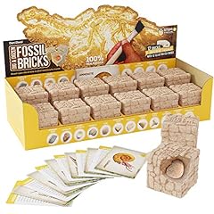 Dig dozen fossil for sale  Delivered anywhere in USA 