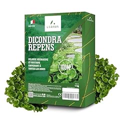 Lerava gazon dichondra d'occasion  Livré partout en Belgiqu