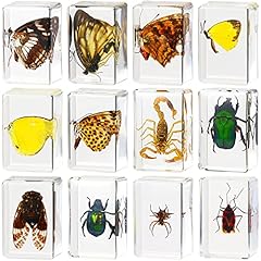 Macarrie pcs insect for sale  Delivered anywhere in USA 