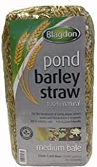 Blagdon pond barley for sale  Delivered anywhere in UK