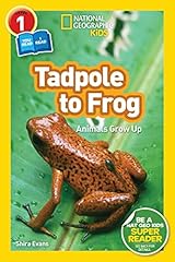 Tadpole frog animals for sale  Delivered anywhere in USA 