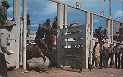 Rodeo cowboy bucking for sale  Delivered anywhere in USA 