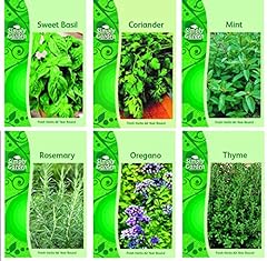 Herb collection selection for sale  Delivered anywhere in UK