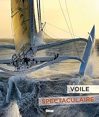 Voile spectaculaire d'occasion  Livré partout en France