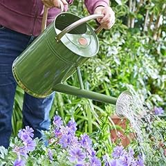 Garden mile sage for sale  Delivered anywhere in UK