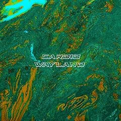 Wayland gebraucht kaufen  Wird an jeden Ort in Deutschland