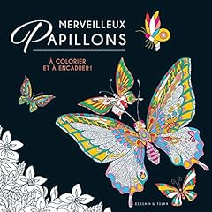 papillon encadre d'occasion  Livré partout en France