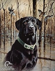 Ducks unlimited great for sale  Delivered anywhere in USA 