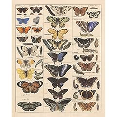 Meishe art poster for sale  Delivered anywhere in UK