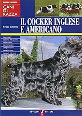 Cocker inglese americano usato  Spedito ovunque in Italia 