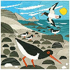 Bothy Threads Silken Long Stitch Kit - Oyster Catchers for sale  Delivered anywhere in UK