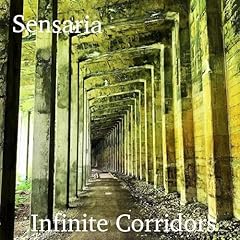 Infinite corridors for sale  Delivered anywhere in USA 