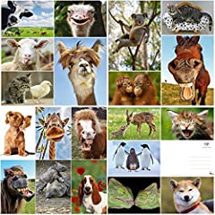 EDITION COLIBRI Lot de 20 cartes postales avec animaux d'occasion  Livré partout en France