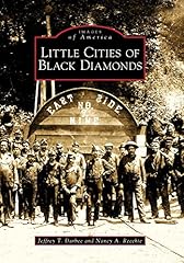 Little cities black usato  Spedito ovunque in Italia 