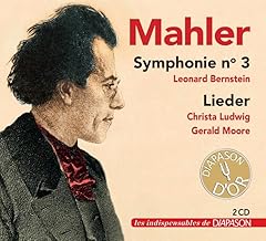 Mahler symphonie lieder gebraucht kaufen  Wird an jeden Ort in Deutschland