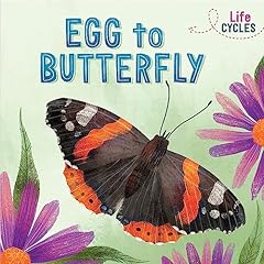 Egg butterfly for sale  Delivered anywhere in UK