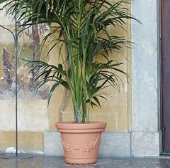Vaso resina tondo usato  Spedito ovunque in Italia 